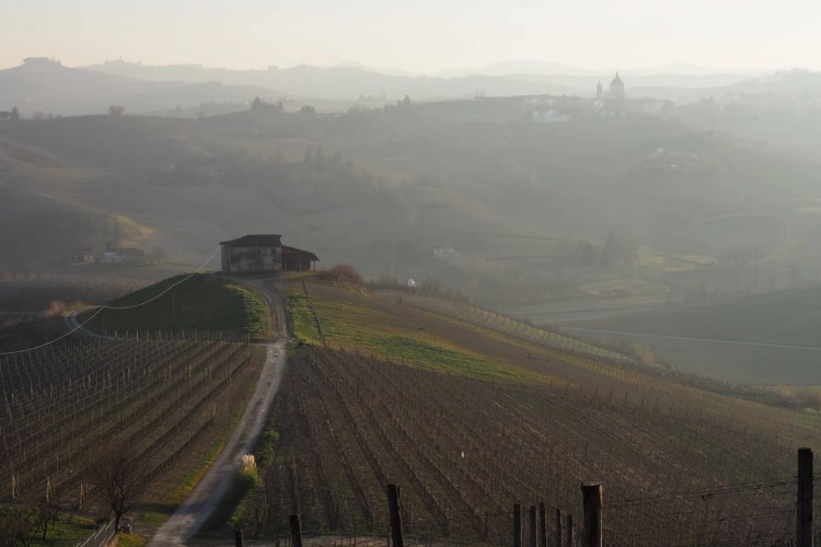 monferrato2.jpg