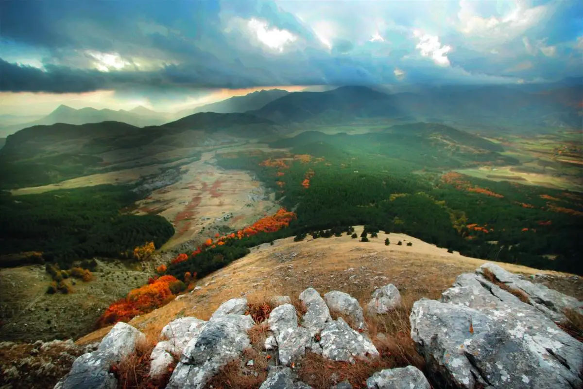 pollino.jpg