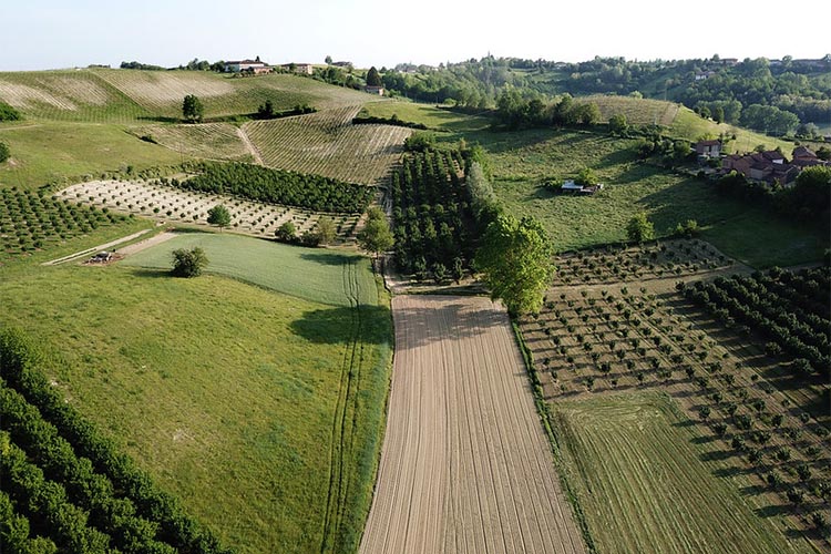 paesaggio.jpg